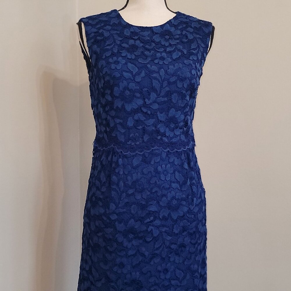 Royal Blue Floral Lace Dress by Zara Woman